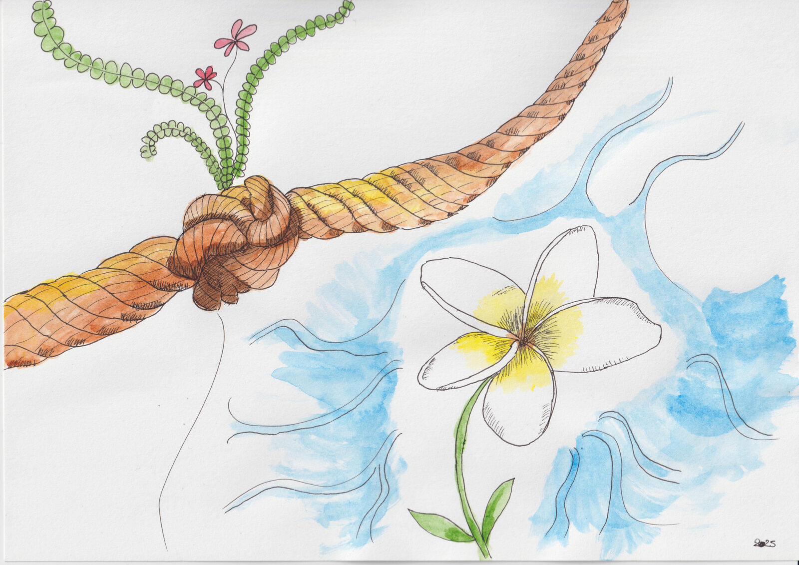 drawing