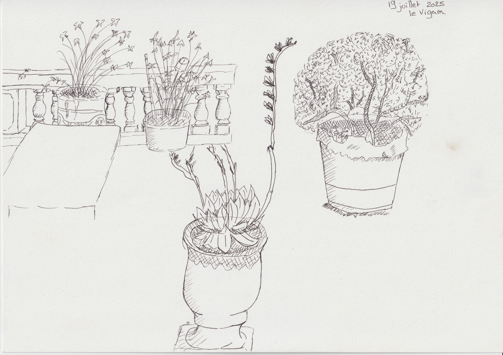 drawing