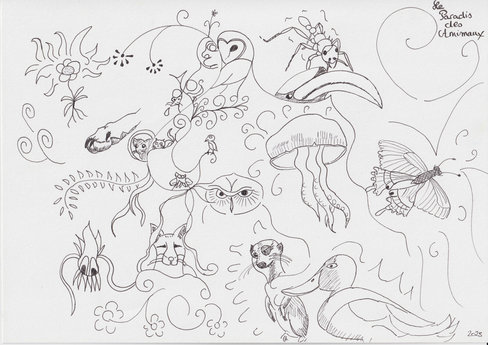drawing
