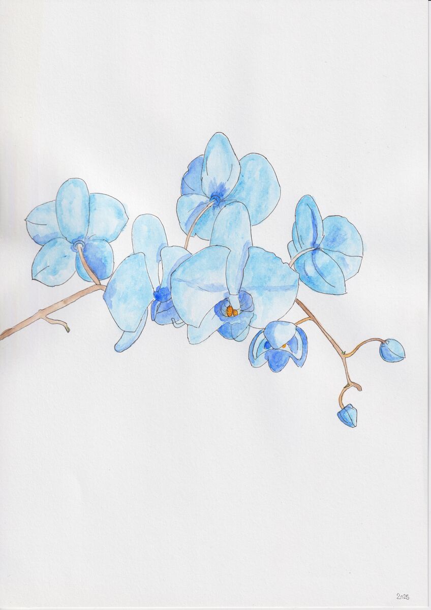 drawing