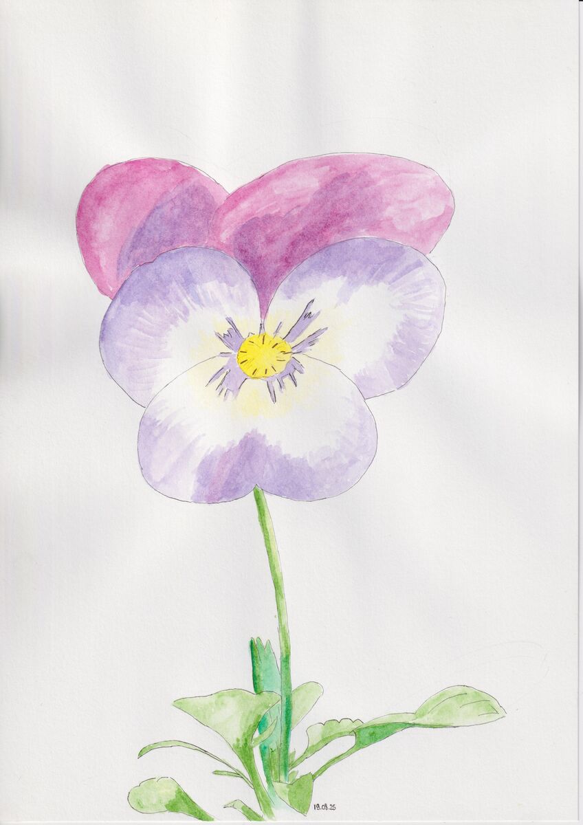 drawing
