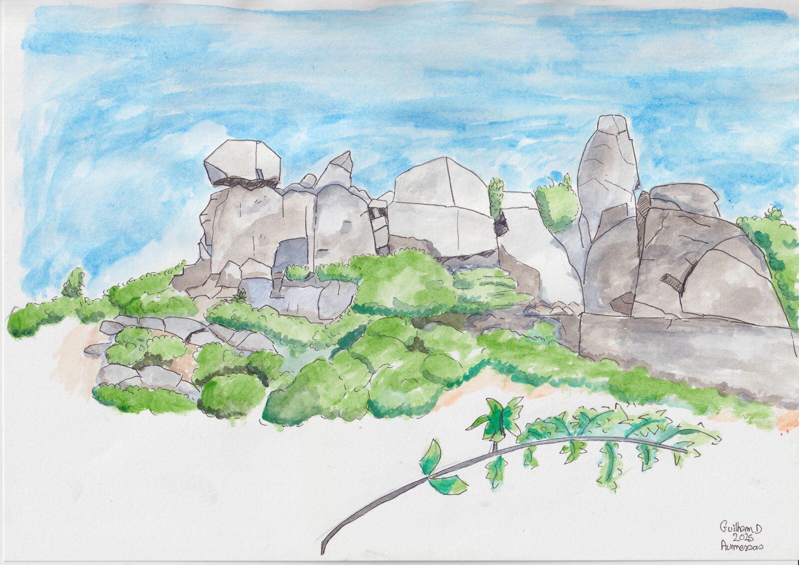 drawing