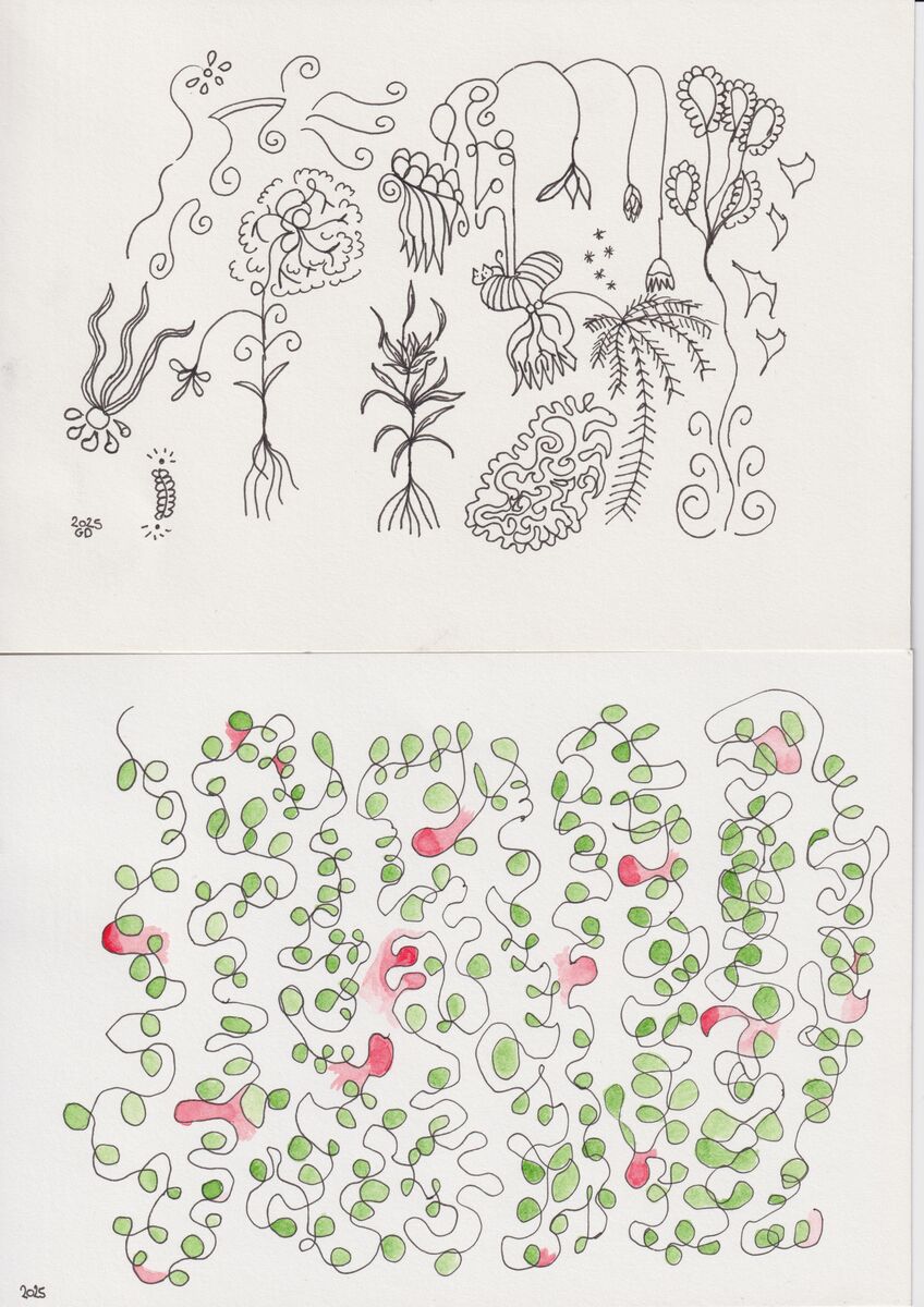 drawing