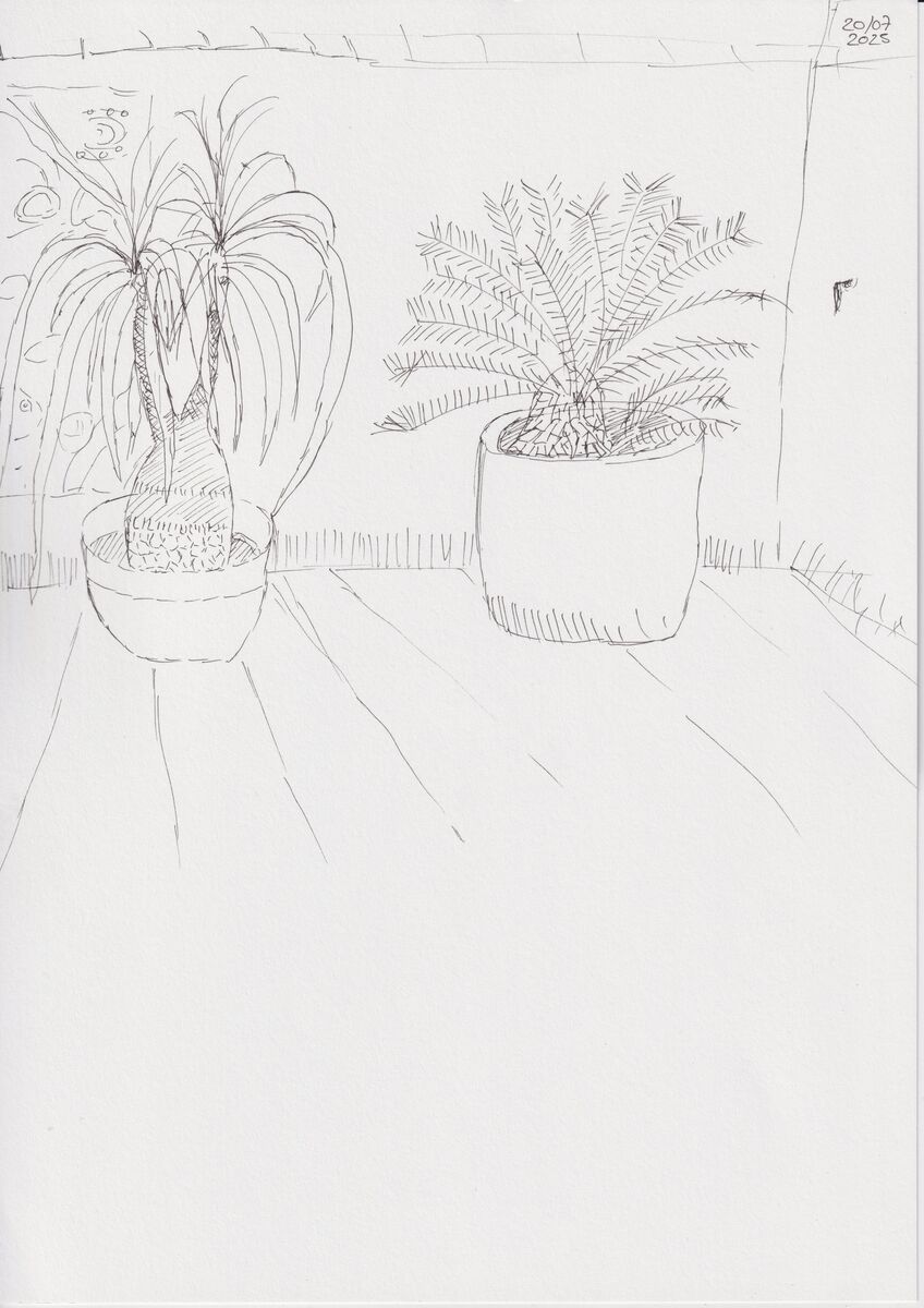 drawing