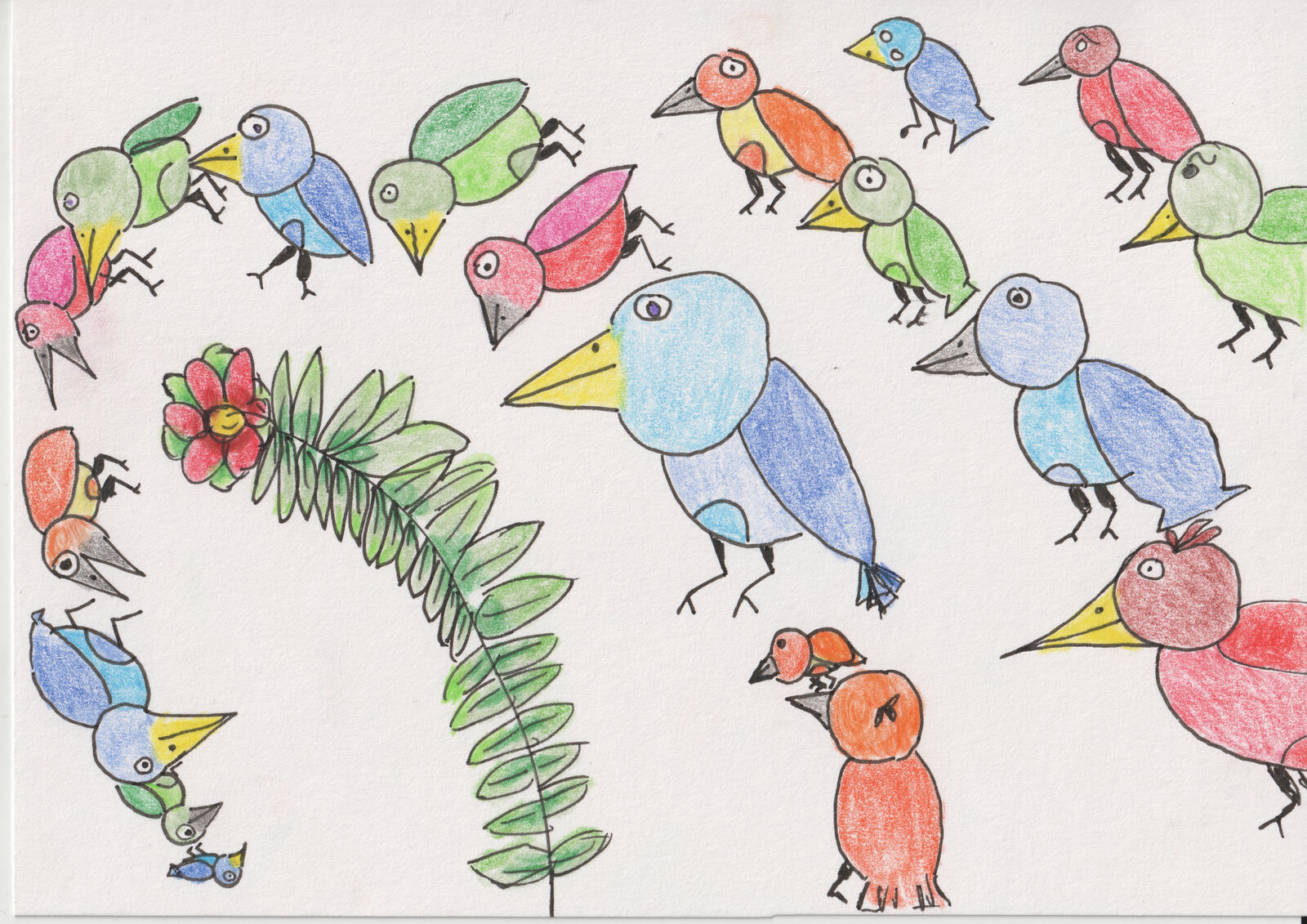 drawing