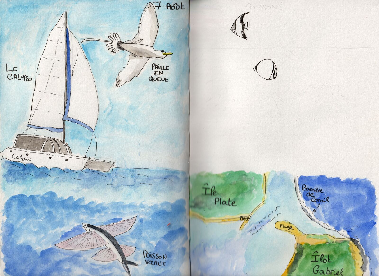 drawing