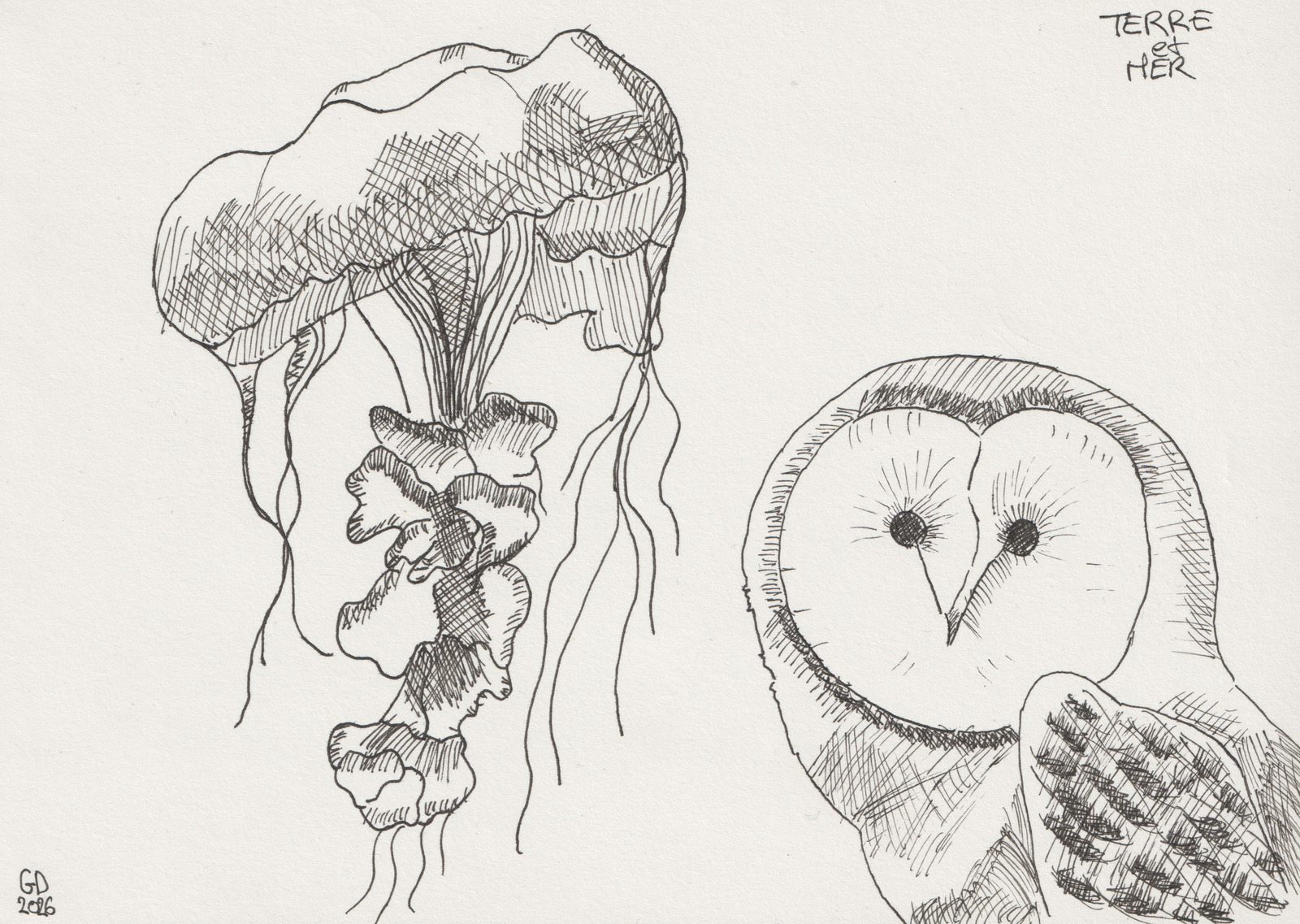 drawing
