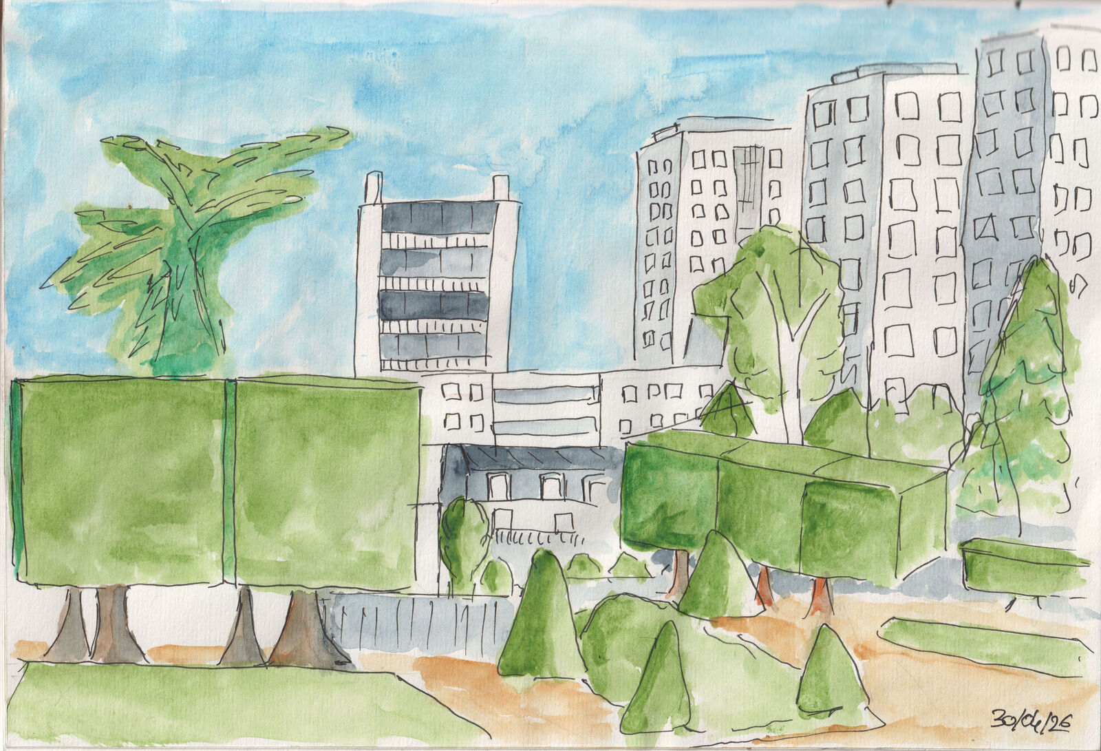 drawing