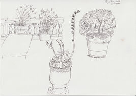 gallery image thumbnail