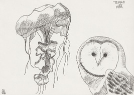 gallery image thumbnail