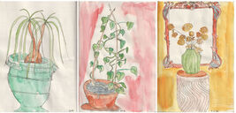 gallery image thumbnail